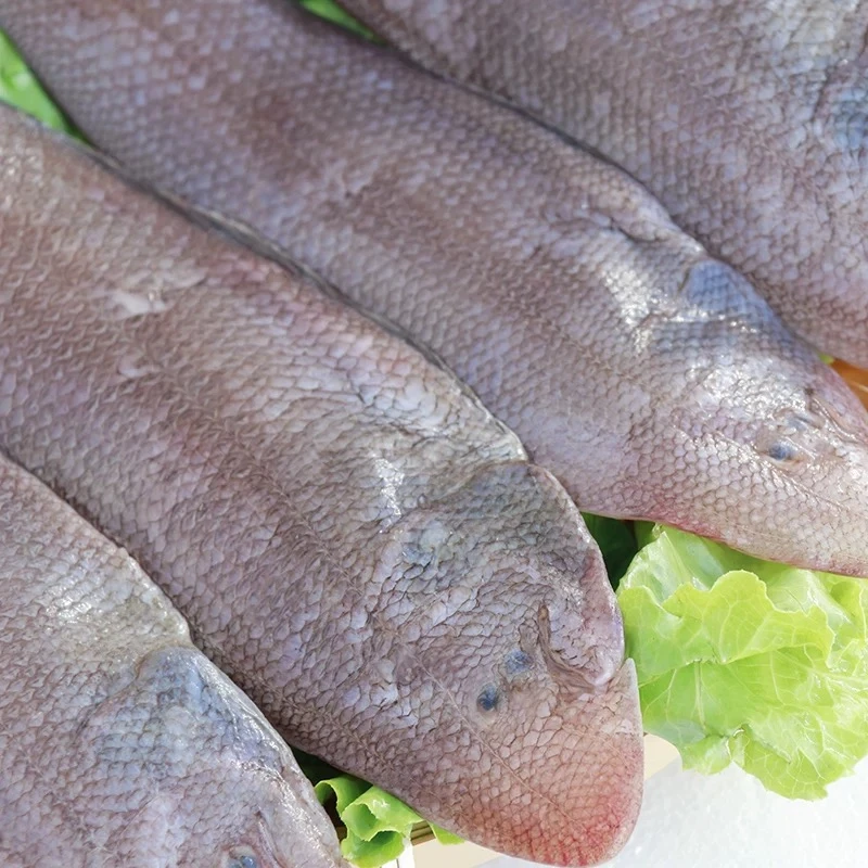 大连野生牛舌鱼舌头鱼鳎目鱼比目鱼4斤装(中号) 冷冻发货顺丰包邮