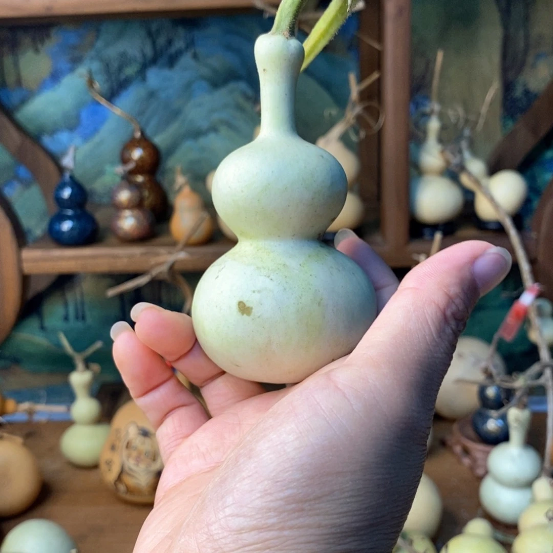 ～****～葫芦葫芦葫芦葫芦