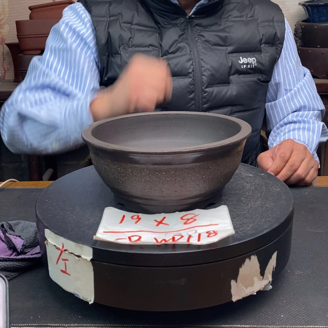 紫砂货号一只WP118