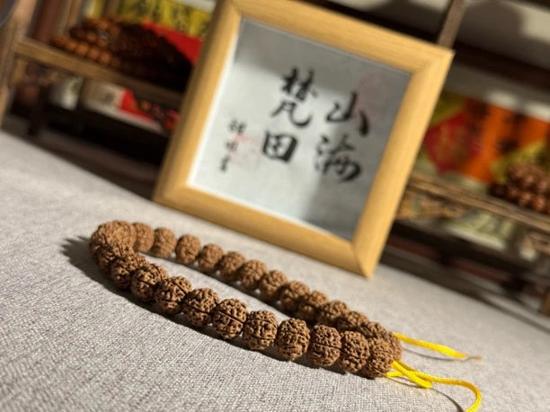 【山海梵田】精选天价蜂王单圈