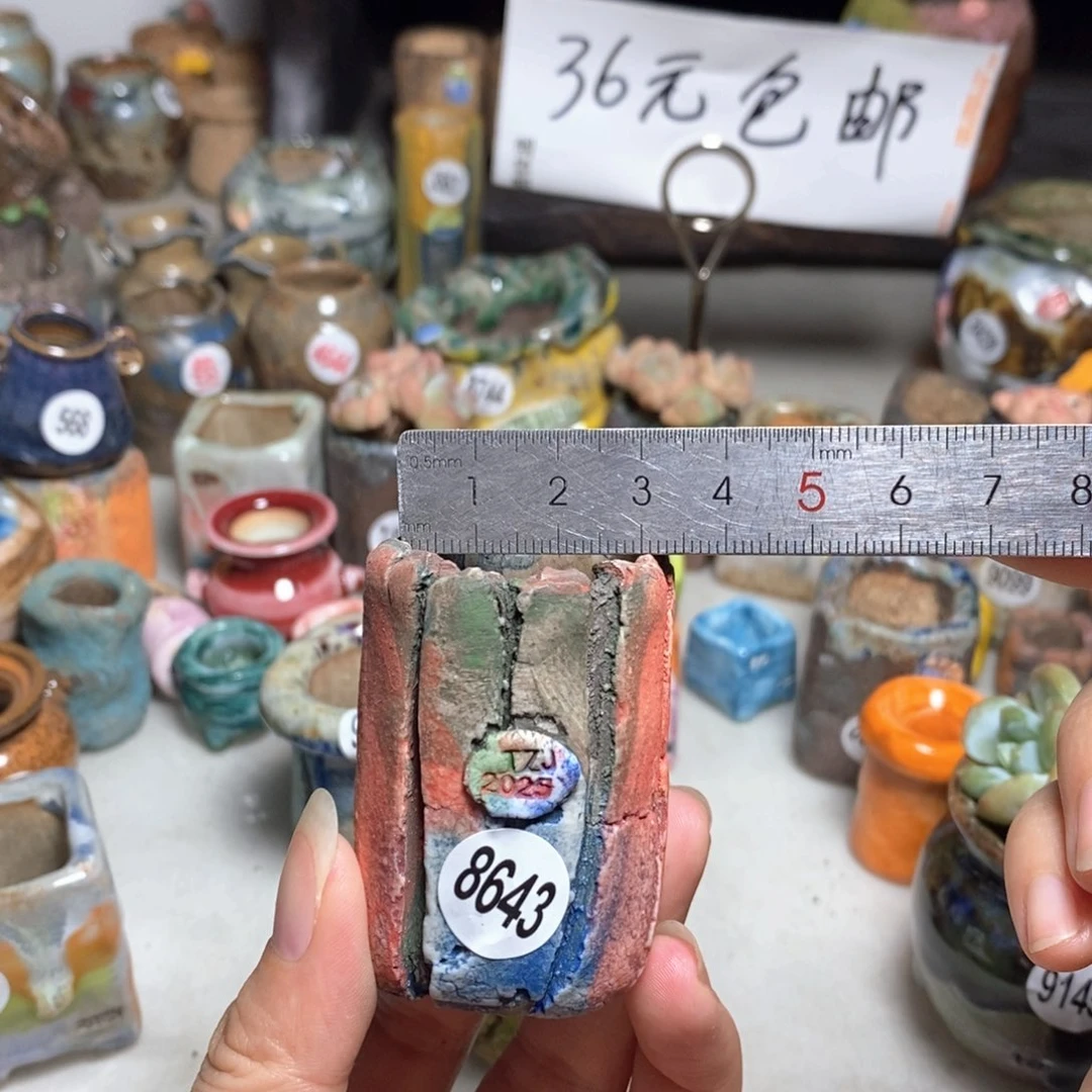 拍3送一个小礼物