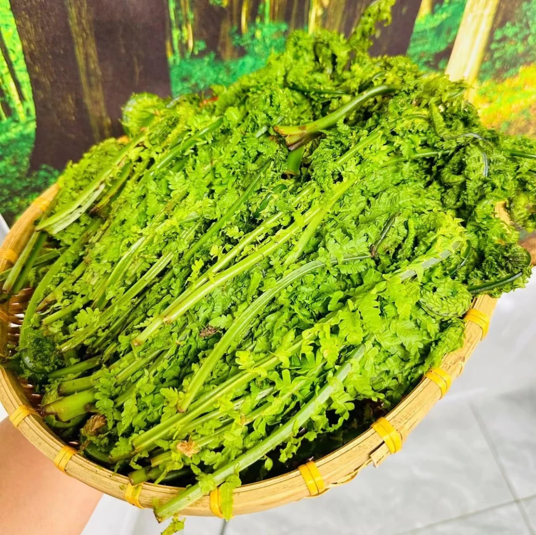 （顺丰包邮）山野菜野生黄瓜香现采现发