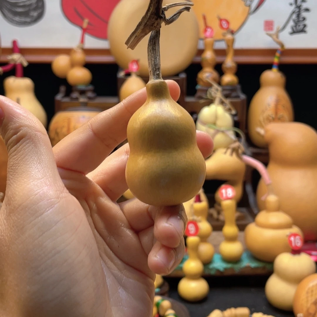 洋***?大自然的秘密是什么啊哈哈