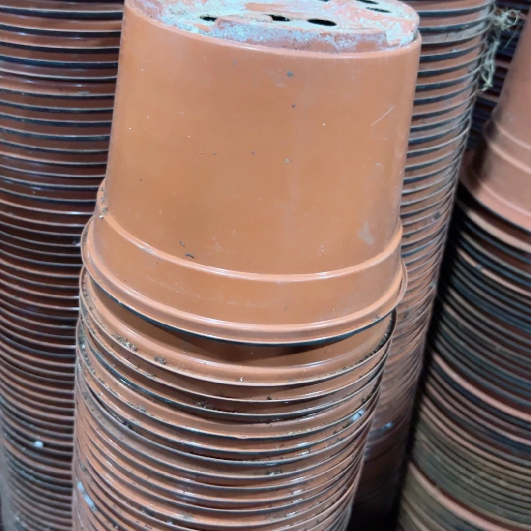 红色精品双色薄盆16口径13高 30个