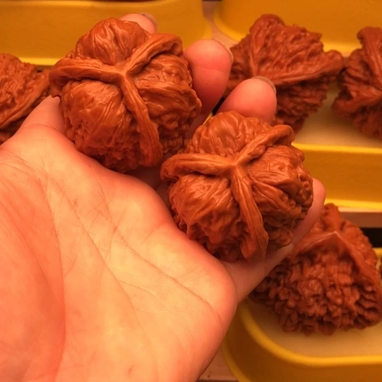 Z***J核桃核桃核桃核桃核桃