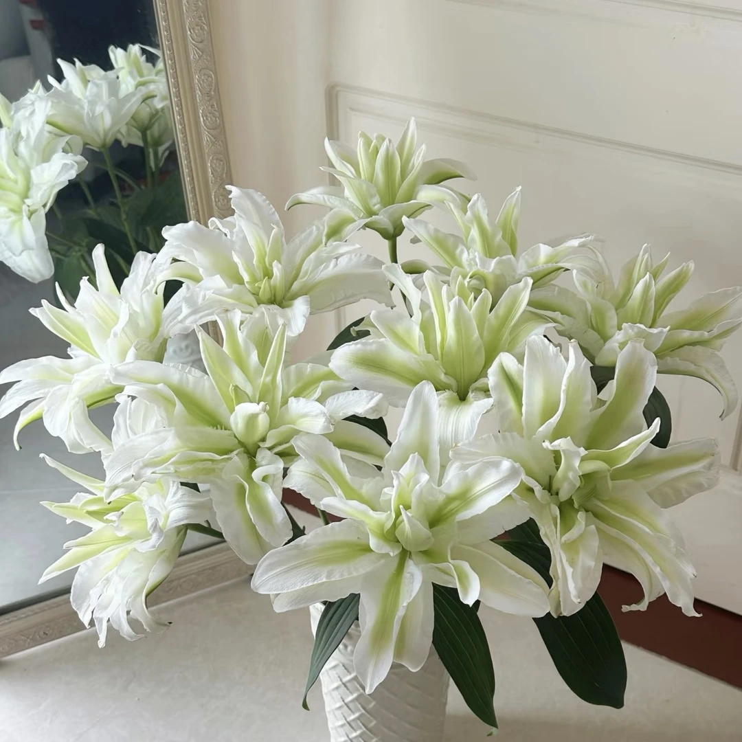 艾莎重瓣香水百合鲜花浓香云南直发【0下拍保温，否则冻坏不售后】