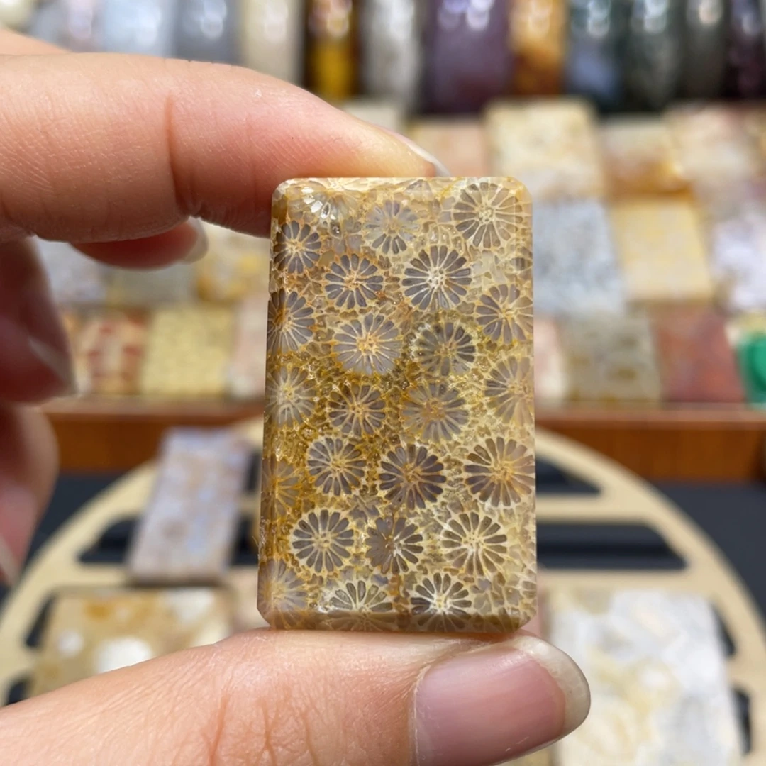 硅化玉未镶嵌颈饰k41