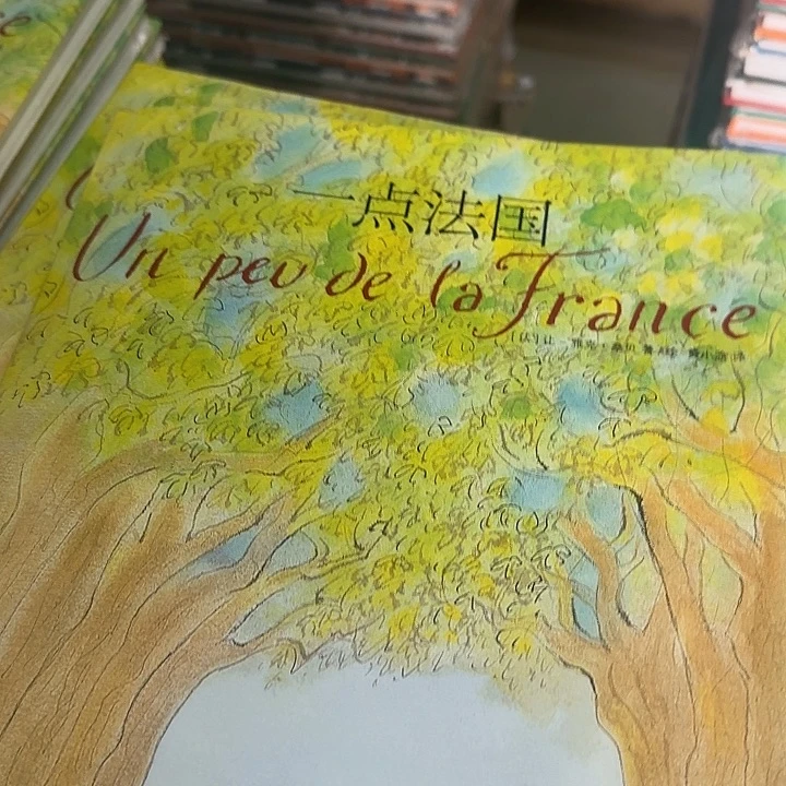 不到2折一点法国精装