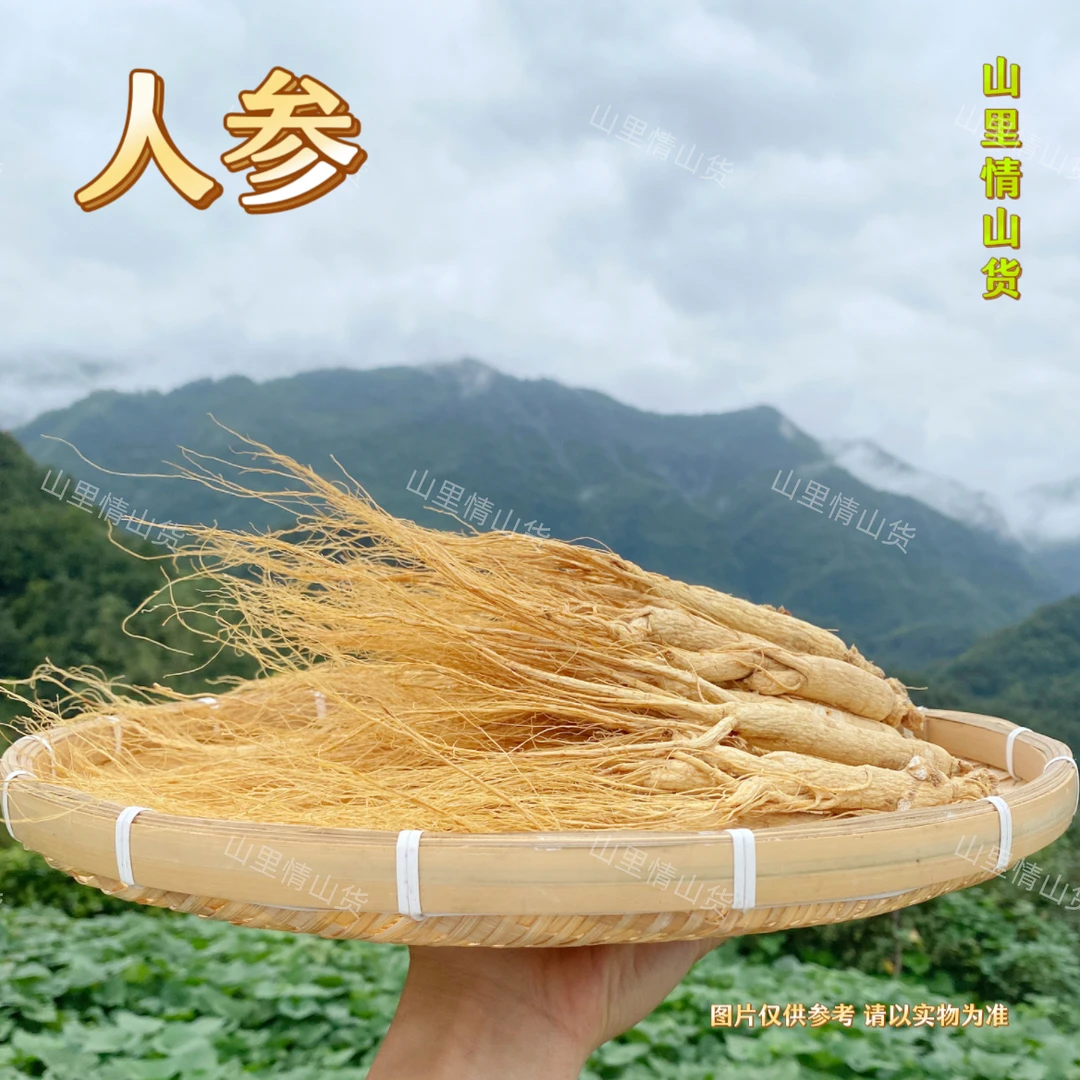 太阳姐姐 - 人参