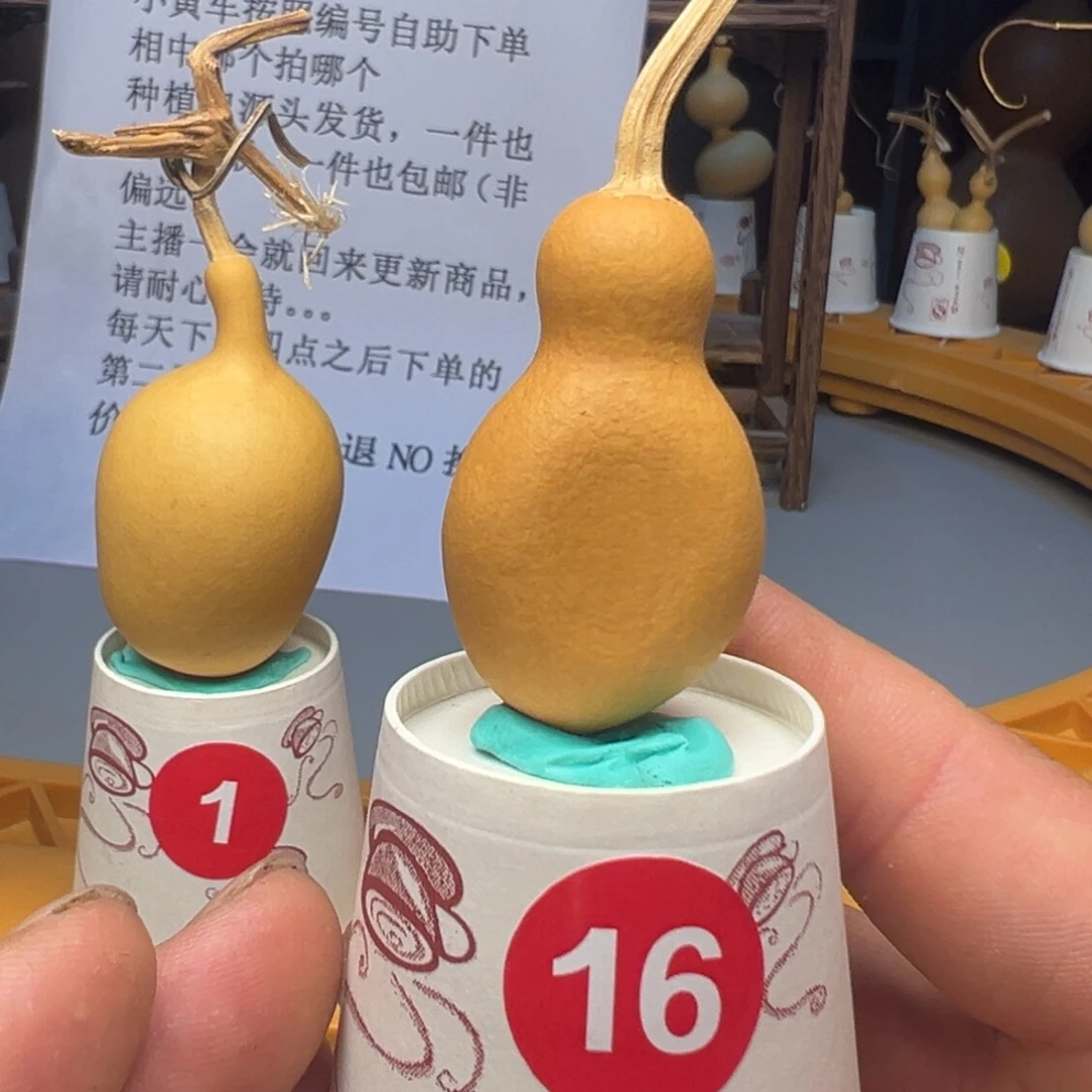 闪电购自助下单编号16