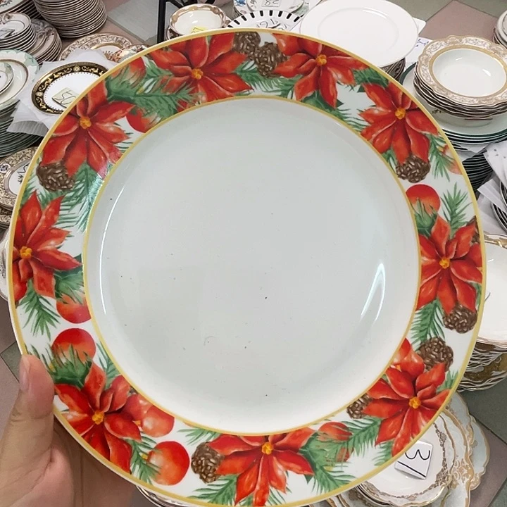 新骨瓷10.5寸2个平盘不退不换微瑕易碎品