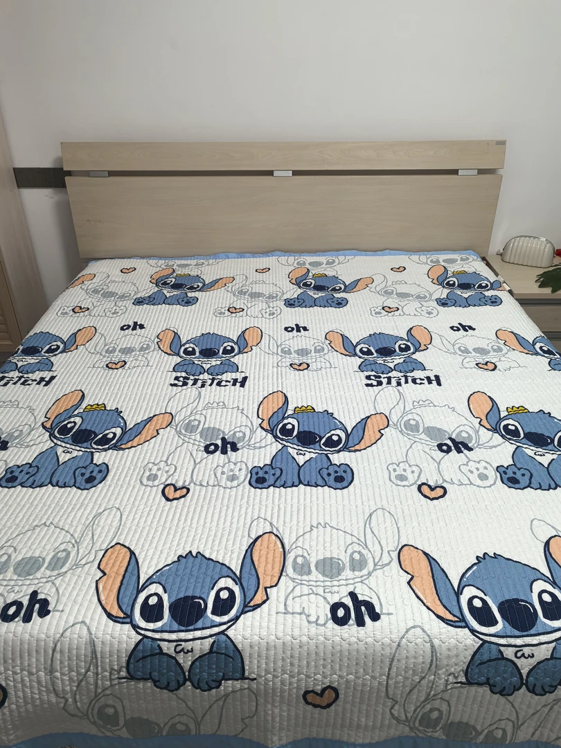 【史迪仔】200*230秋冬四季多功能加厚床盖