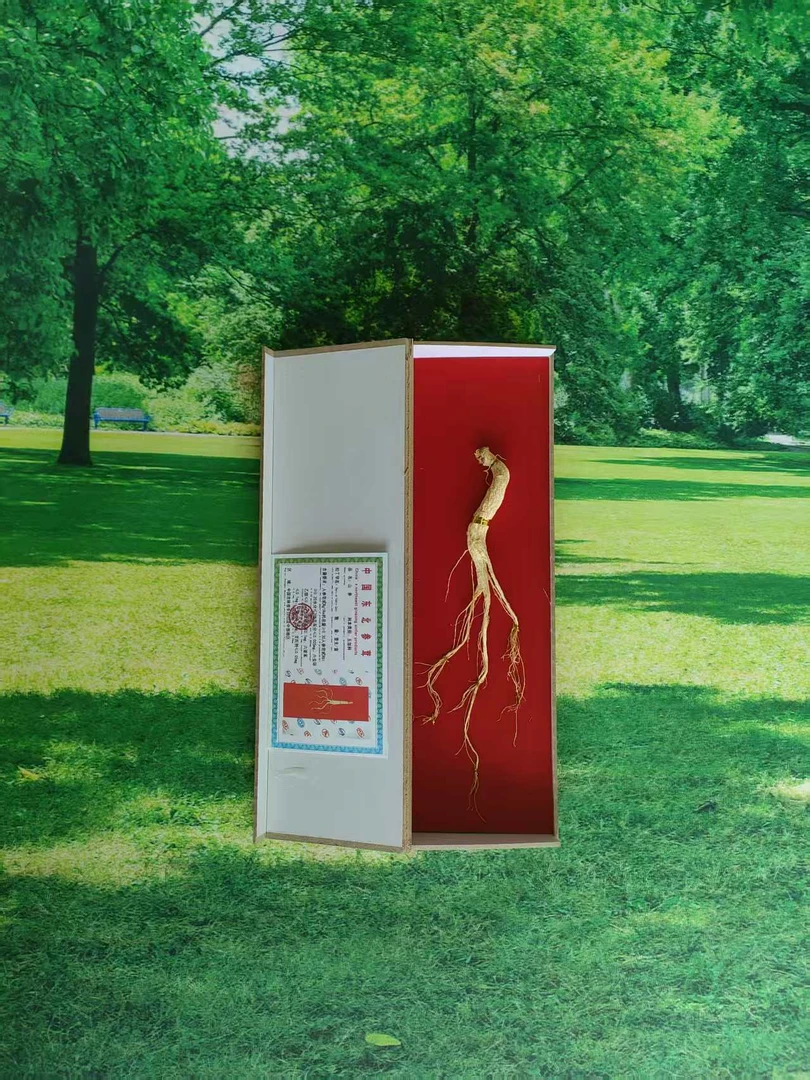 「佩玲粉丝专属」山参一盒