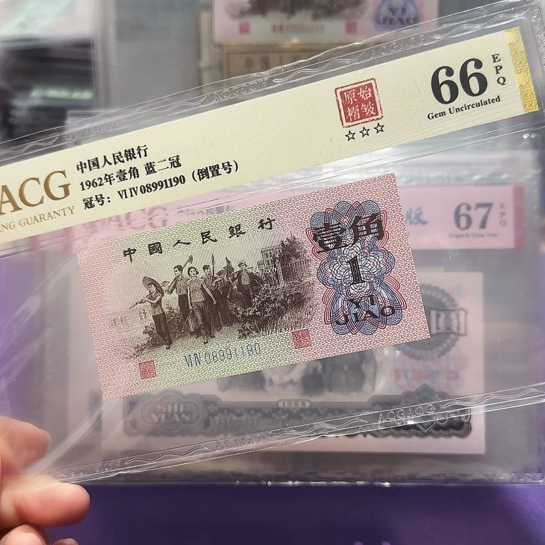 塑料08991190。。。倒置号褶皱