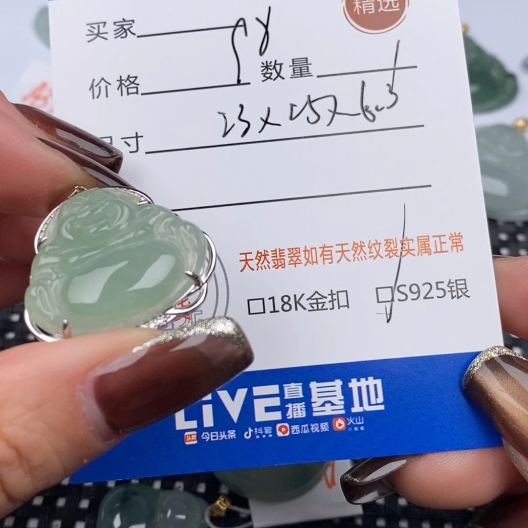 翡翠银S925镶嵌颈饰