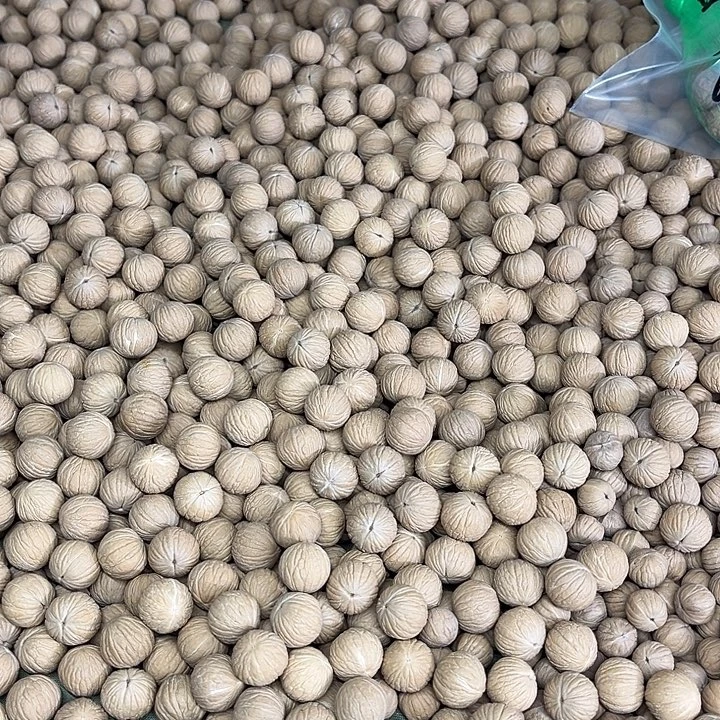 手串猴头核桃山地籽凤羽散珠100颗15左右
