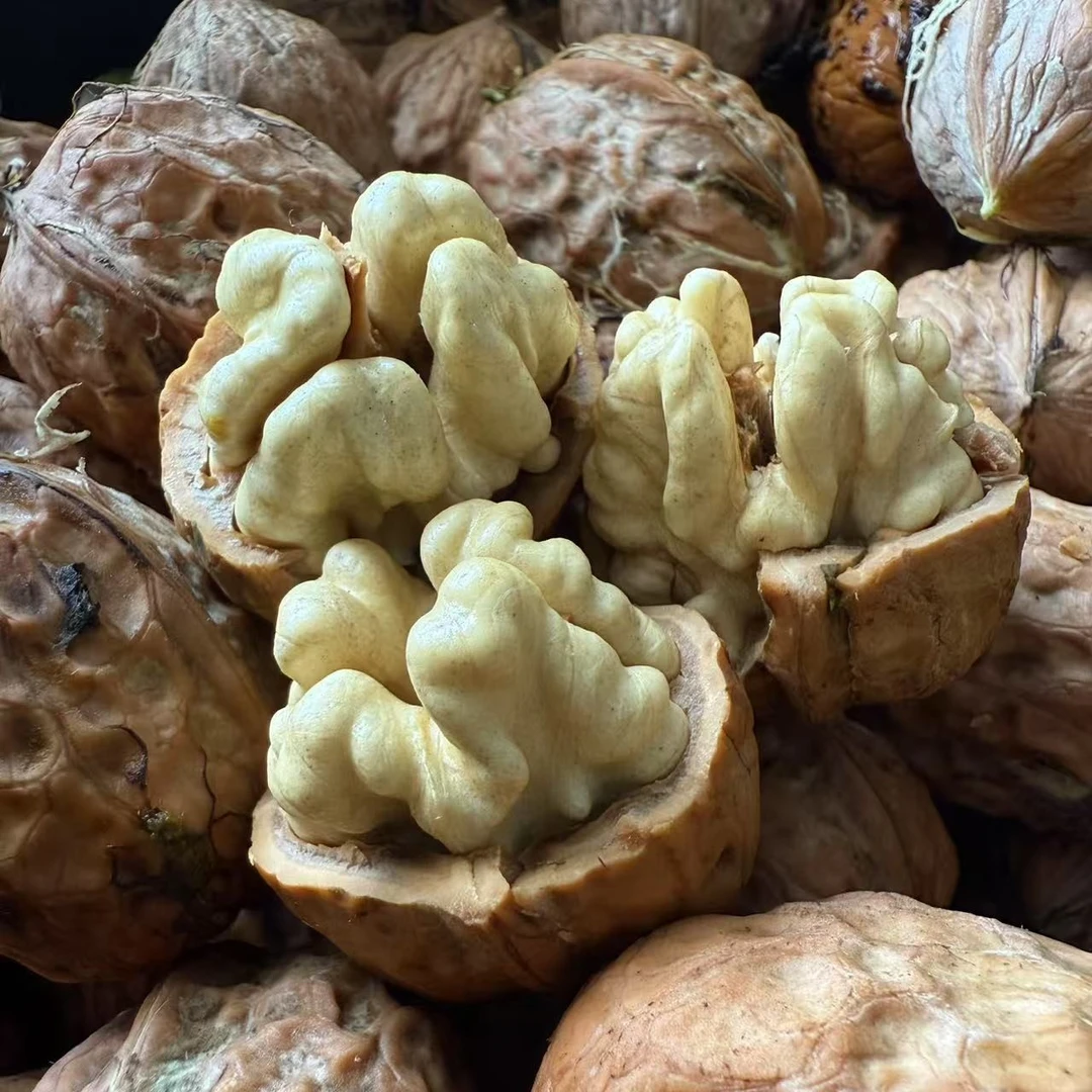 高山老树核桃新鲜现摘去青皮湿核桃2025新货