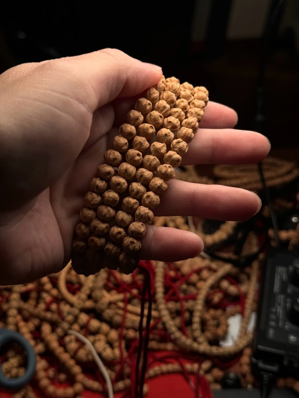 热振柏香籽矮桩莲花鬼原桩小肉球