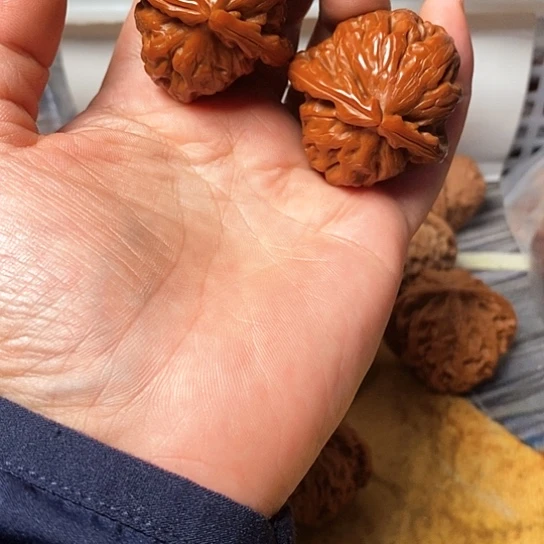吊坠文玩核桃白狮子