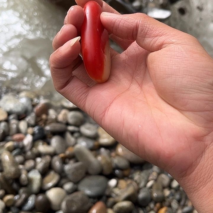 未镶嵌和田玉（糖玉）车挂