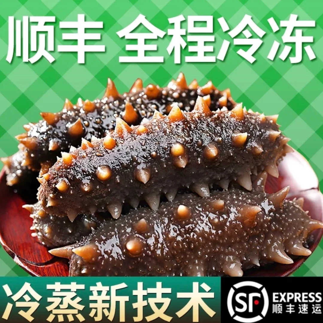 【拍2斤送2斤】4斤装 鲜食海参 肉质劲道Q弹好口感 顺丰冷链发货