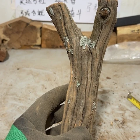 大果紫檀（缅甸花梨）锦*