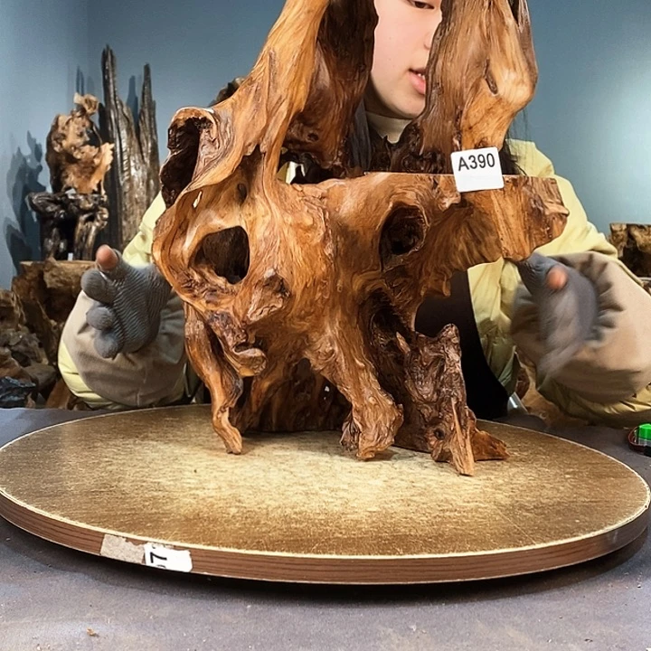茶盏健*390株木随行的小根艺