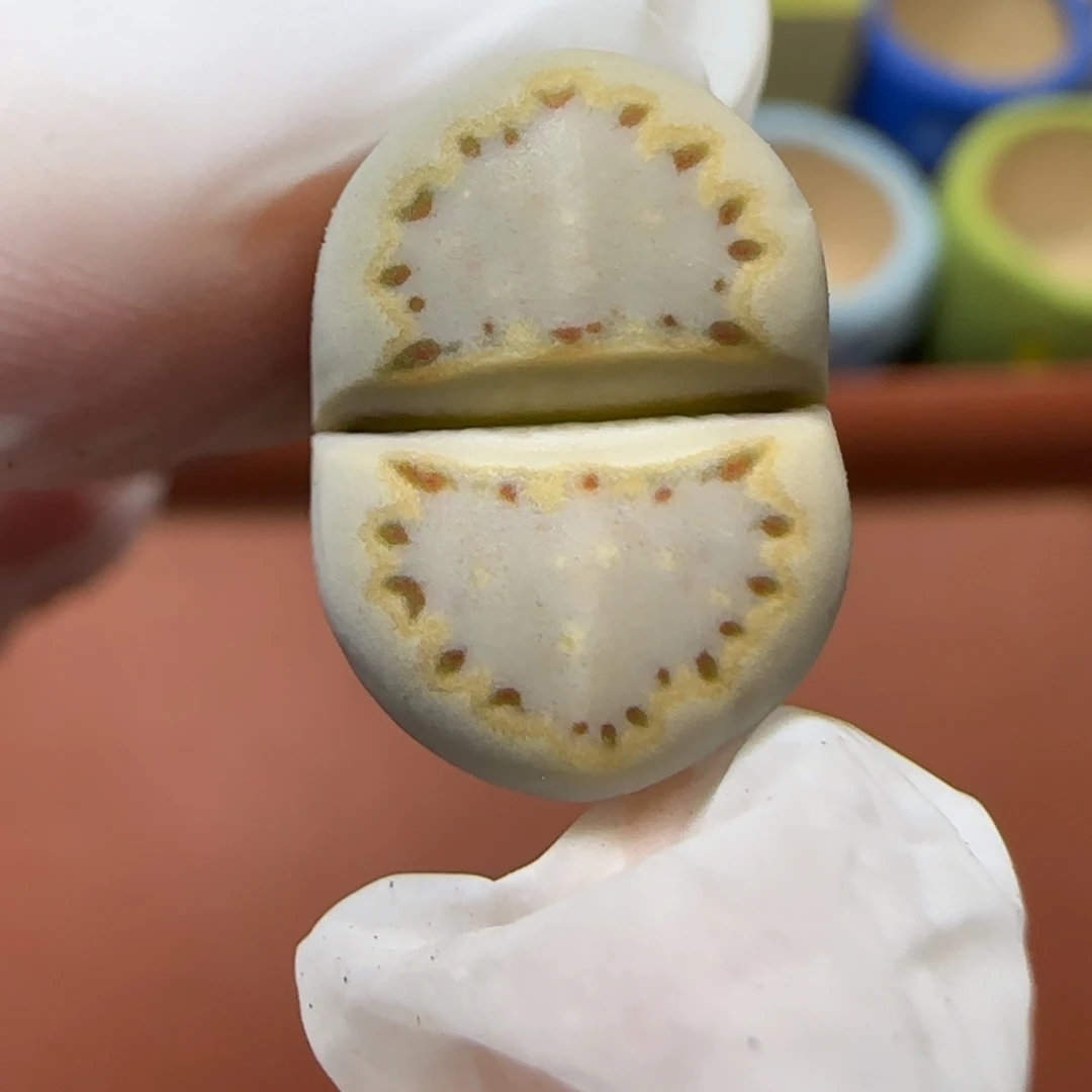 12.23.1621.015饼干.9029