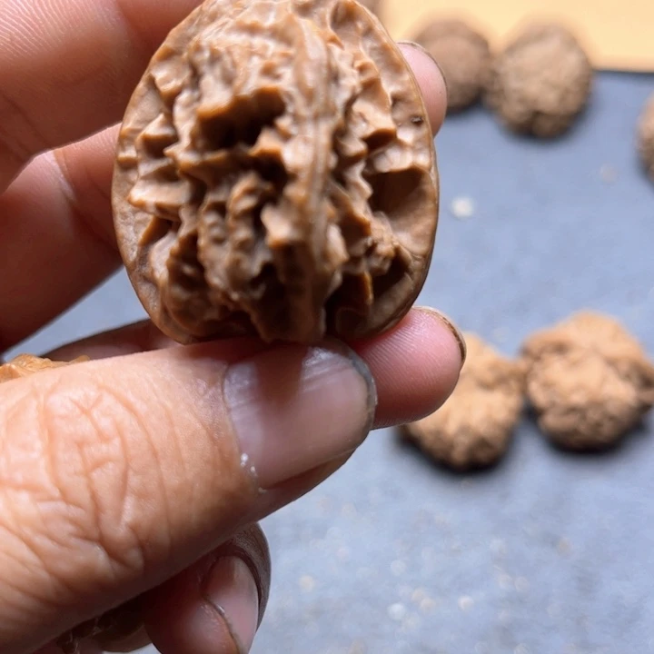 文玩核桃手串不*道龙骨