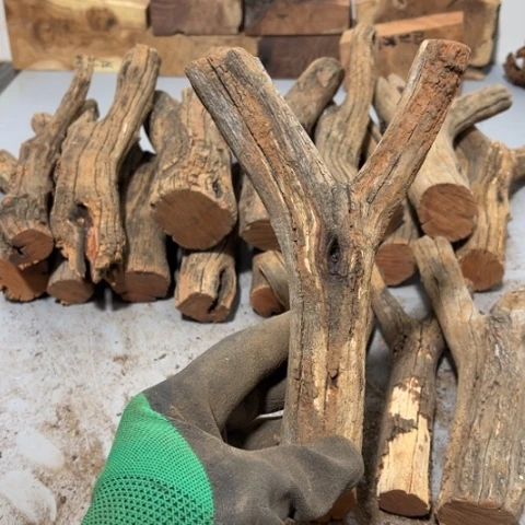 大果紫檀（缅甸花梨）.****路