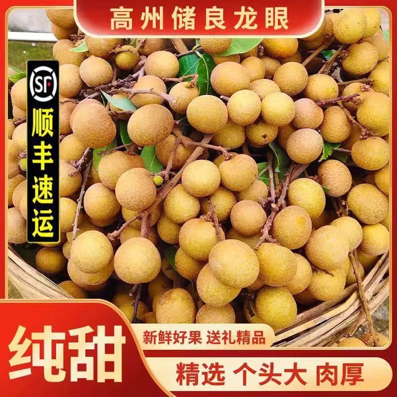 【顺丰冷链包邮】广东高州老树储良龙眼大果肉厚新鲜甜脆爽口特大果