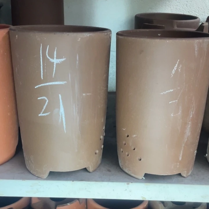 紫砂紫砂紫砂紫砂紫砂紫砂