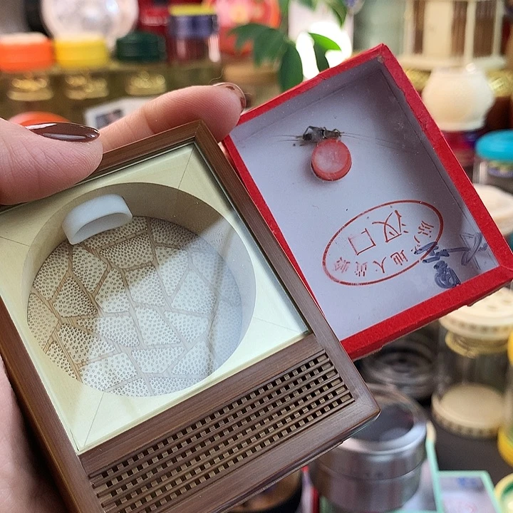 云***轩蟋蟀带水墨仙子啊啊啊啊