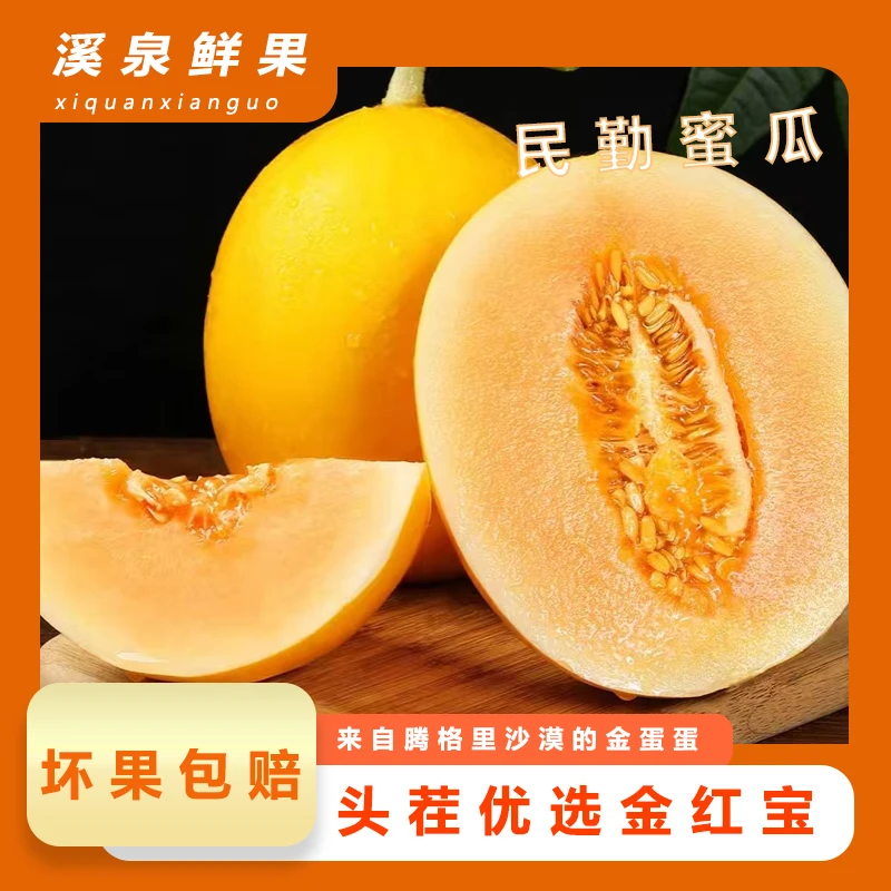 【甘肃民勤蜜瓜】沙漠蜜瓜新鲜水果正宗金红宝