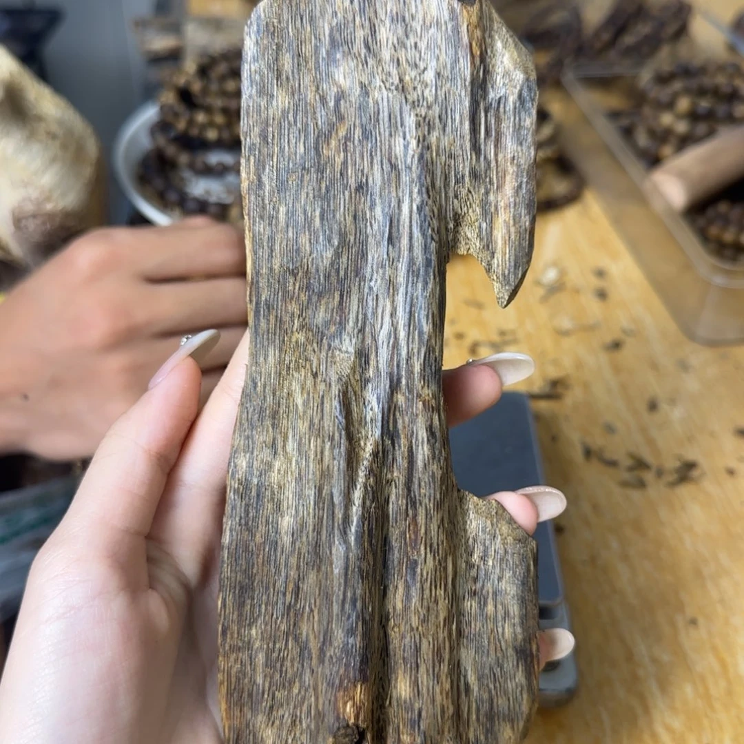 每***天沉香碎屑沉香海南蓝宝石树心虫漏91g