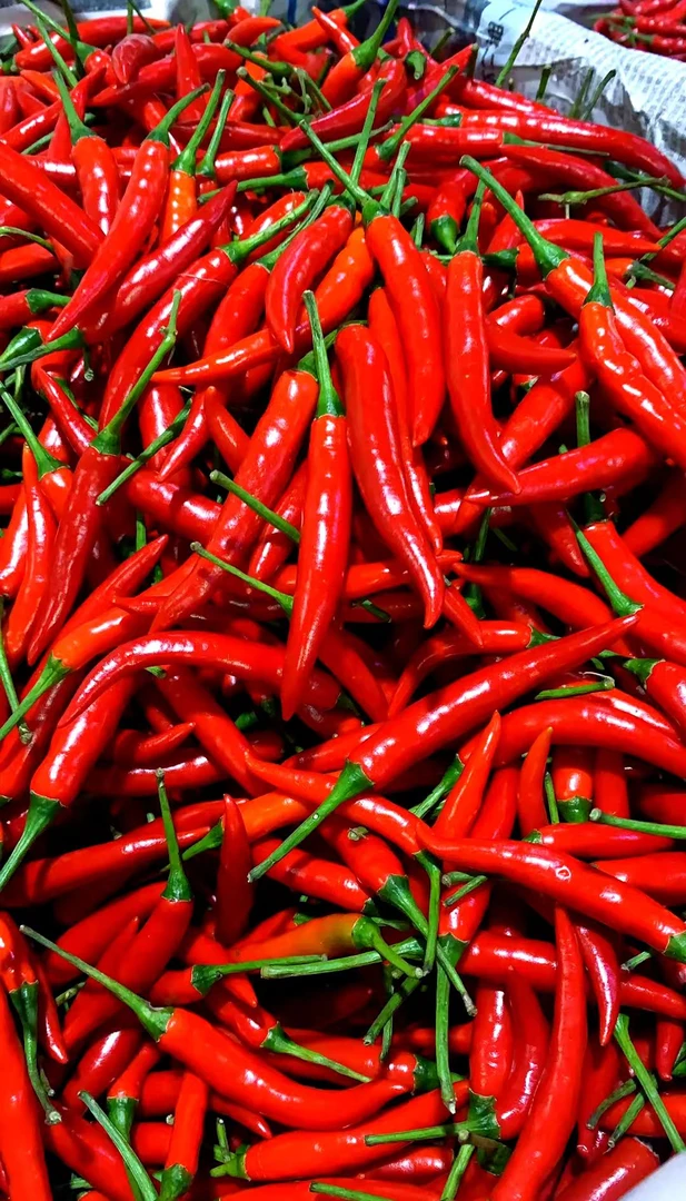 贵州新鲜现摘特辣小米辣可用于餐饮红贵州辣椒新鲜
