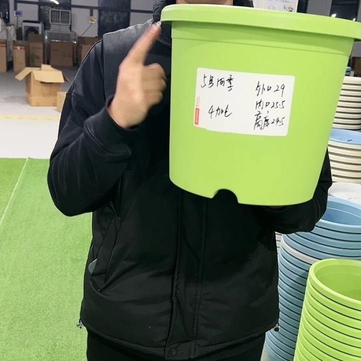 特价5号口29高24.5果绿色5只无托