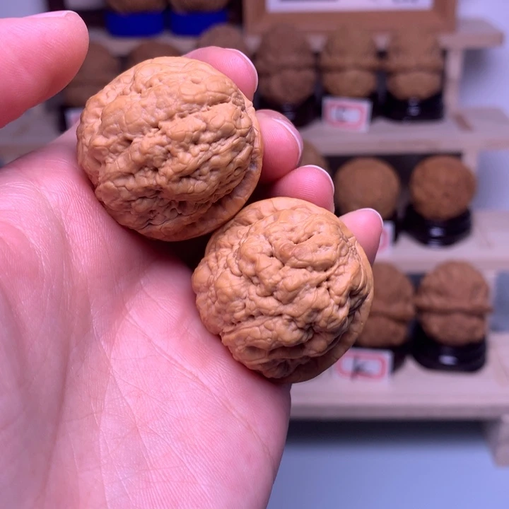 把件文玩核桃D血舍利34尺