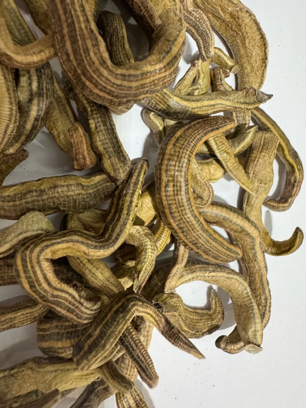 山东农田干货特产水、蛭煲汤泡滋补泡酒蚂匹蚂鳖