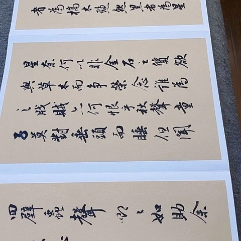 红***里扇子秋声赋行书册页作品