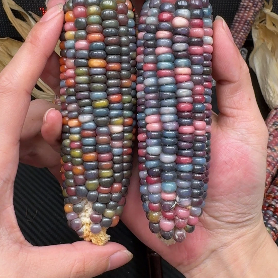 柏香籽/百香籽吊坠?*合