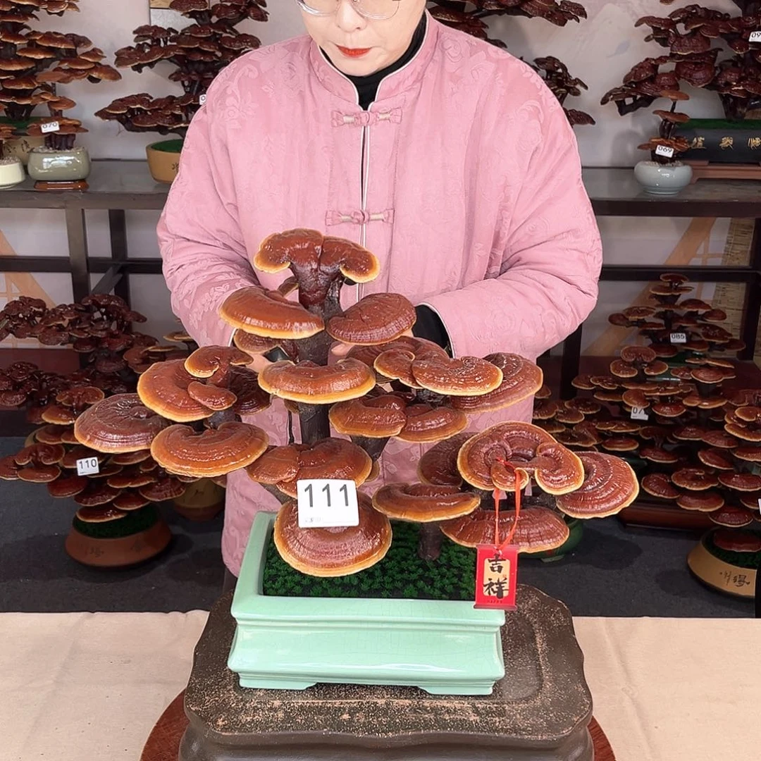 万事如意888881111