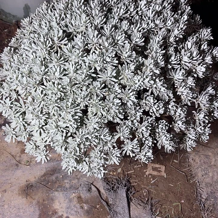 1***4哈哈哈哈哈哈哈哈哈