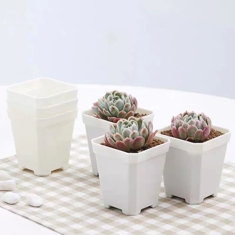 70塑料白方盆100个口7高7cm多肉仙人球通用花盆耐用耐晒经济实惠