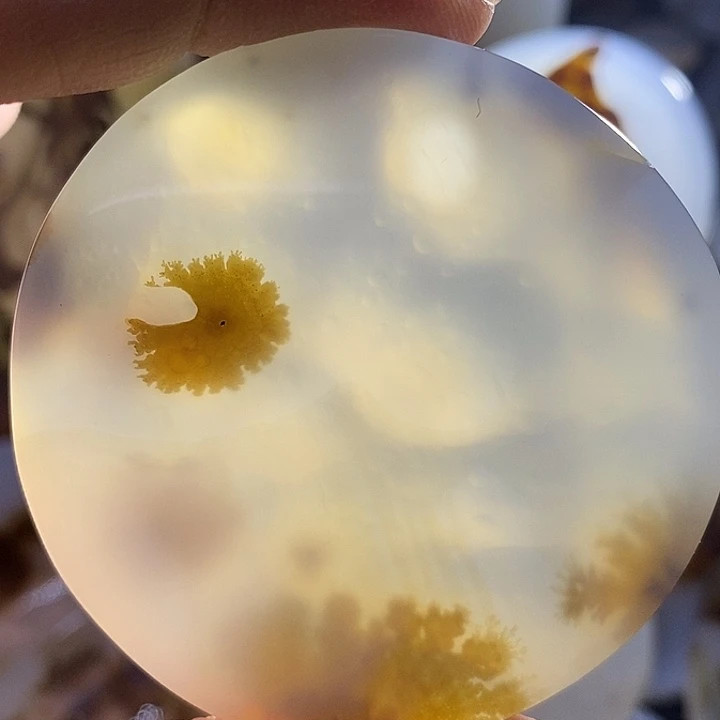 未镶嵌颈饰玛瑙/玉髓山**刘