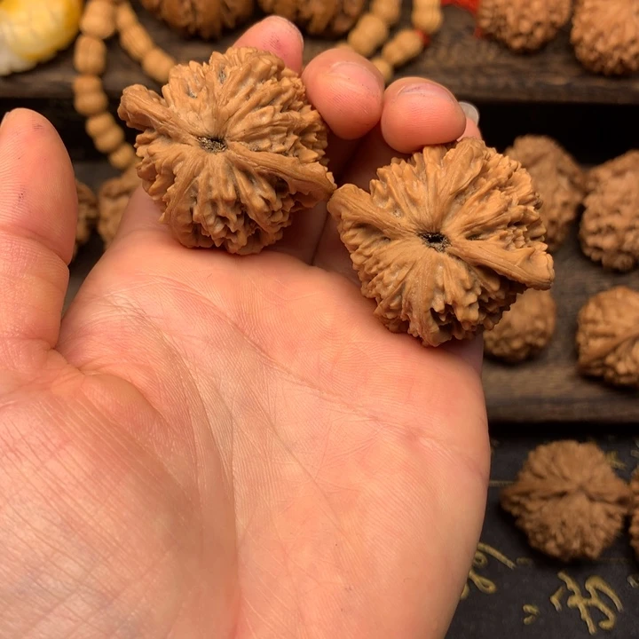 余****己秦岭森林生态系统保护