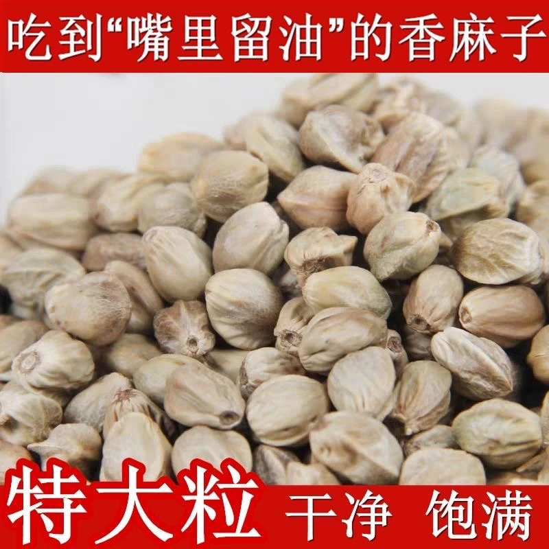 甘肃天水秦安特产大颗粒带壳麻子美味可口