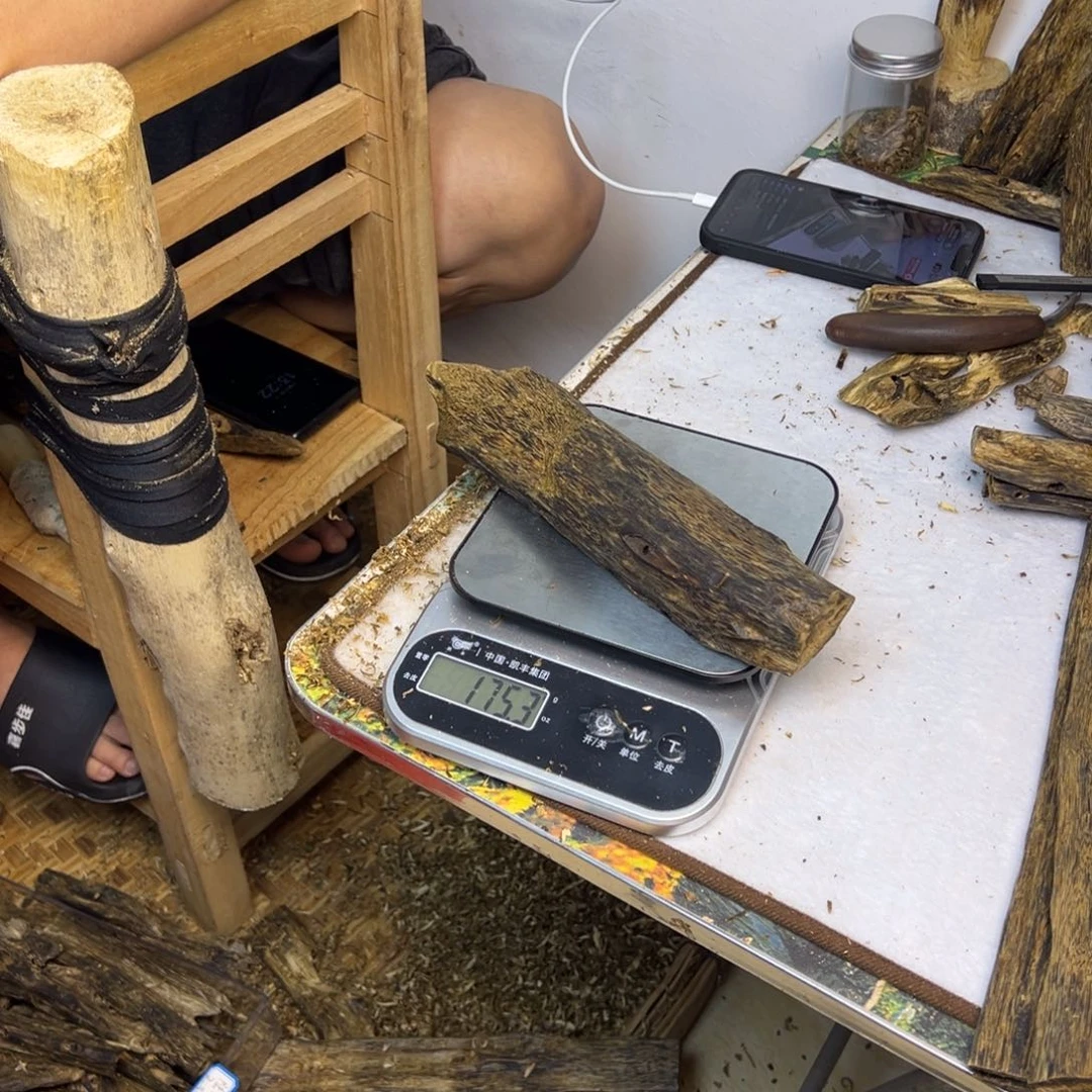 线香奇楠虫漏香175克