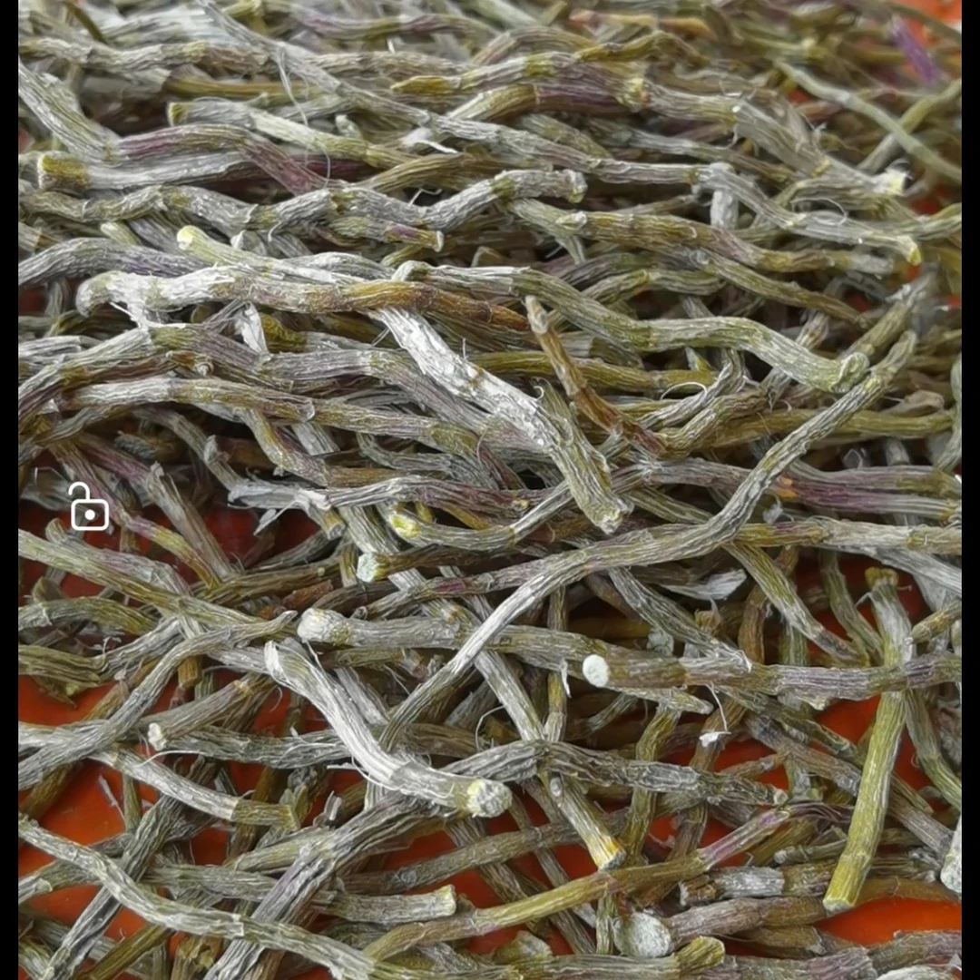 云南浙江品种铁皮石斛枝条可打粉冲喝煲汤泡水泡酒