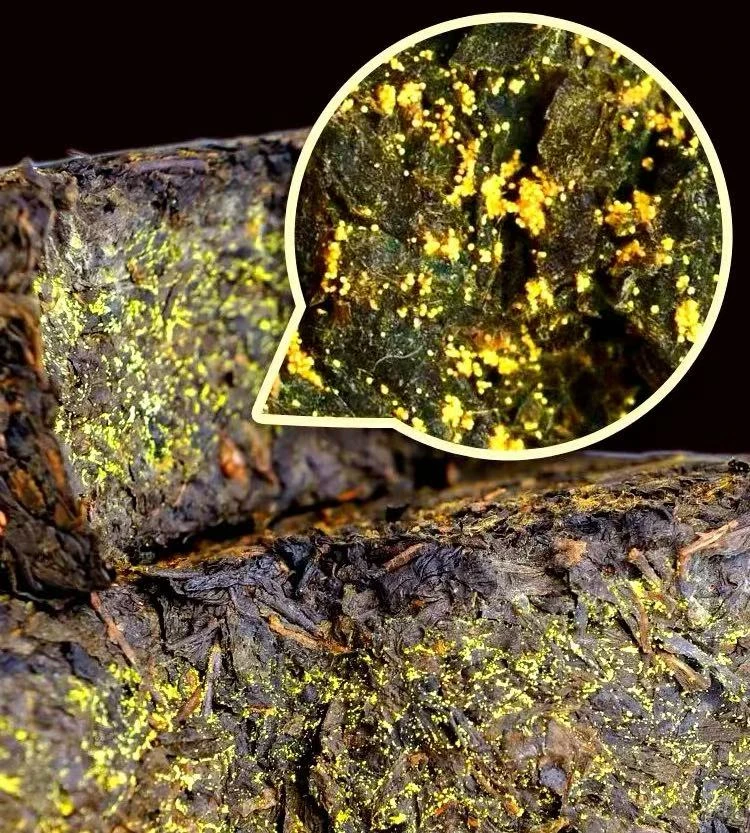 金花普洱生茶  2010年-H